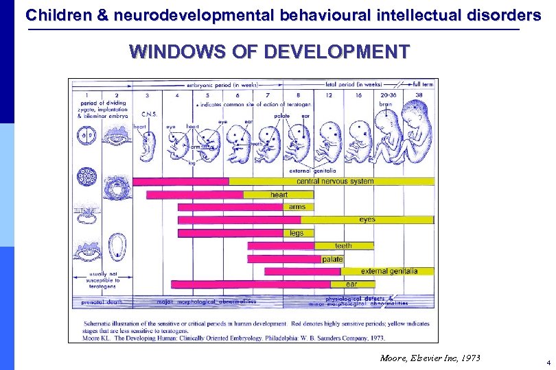 Children & neurodevelopmental behavioural intellectual disorders WINDOWS OF DEVELOPMENT Moore, Elsevier Inc, 1973 4