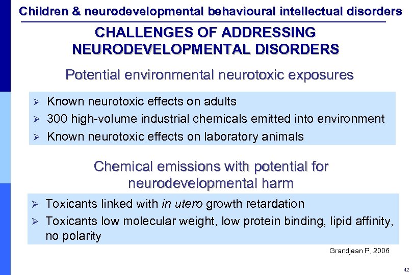 Children & neurodevelopmental behavioural intellectual disorders CHALLENGES OF ADDRESSING NEURODEVELOPMENTAL DISORDERS Potential environmental neurotoxic