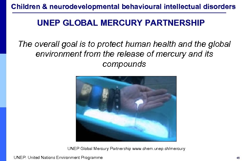 Children & neurodevelopmental behavioural intellectual disorders UNEP GLOBAL MERCURY PARTNERSHIP The overall goal is