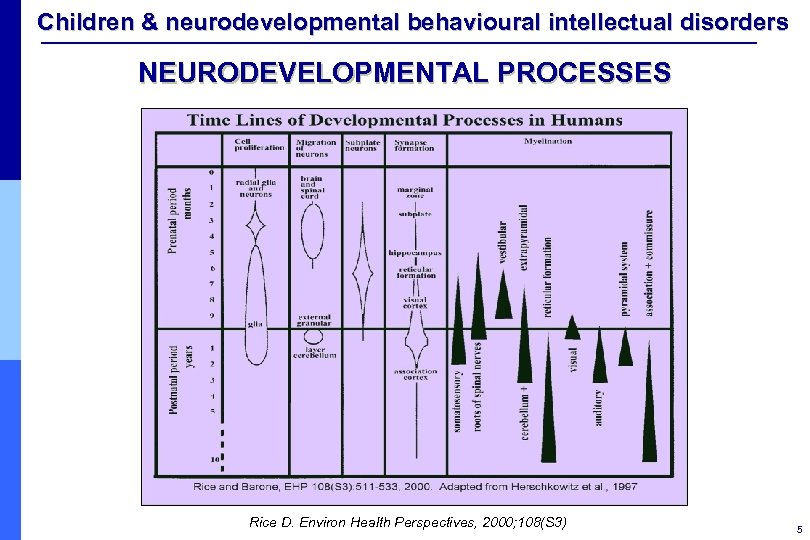 Children & neurodevelopmental behavioural intellectual disorders NEURODEVELOPMENTAL PROCESSES Rice D. Environ Health Perspectives, 2000;