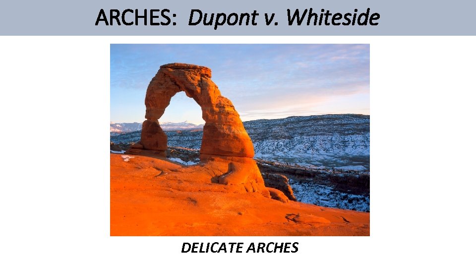 ARCHES: Dupont v. Whiteside DELICATE ARCHES 