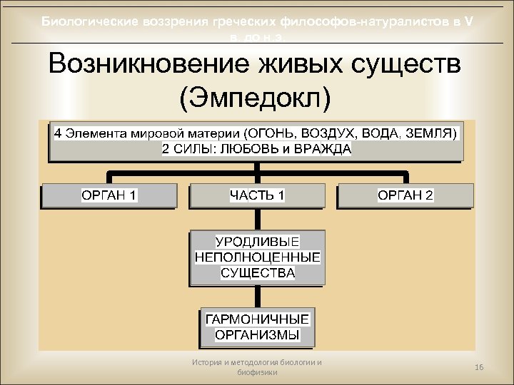 Биологические воззрения греческих философов-натуралистов в V в. до н. э. Возникновение живых существ (Эмпедокл)