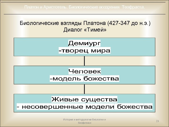 Платон и Аристотель. Биологические воззрения Теофраста. Биологические взгляды Платона (427 -347 до н. э.