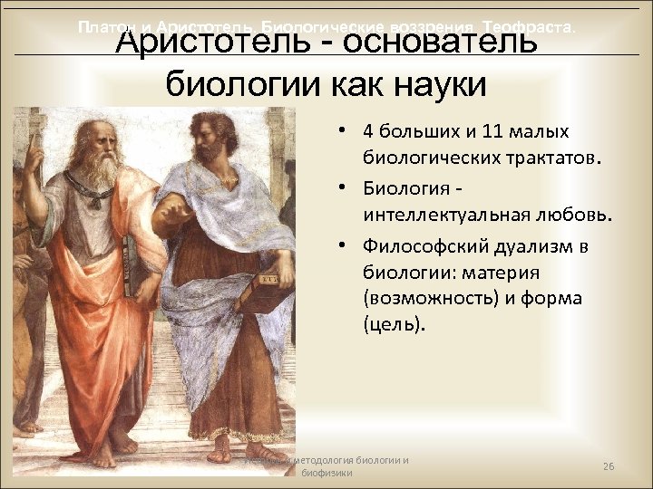 Платон и Аристотель. Биологические воззрения Теофраста. Аристотель - основатель биологии как науки • 4