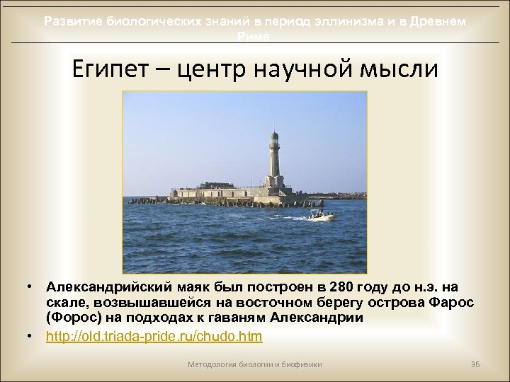 Развитие биологических знаний в период эллинизма и в Древнем Риме. Египет – центр научной