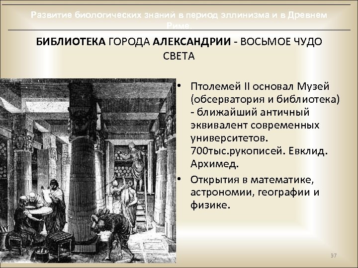 Развитие биологических знаний в период эллинизма и в Древнем Риме. БИБЛИОТЕКА ГОРОДА АЛЕКСАНДРИИ -