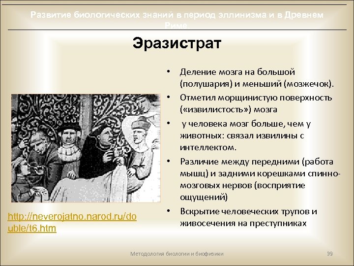 Развитие биологических знаний в период эллинизма и в Древнем Риме. Эразистрат http: //neverojatno. narod.