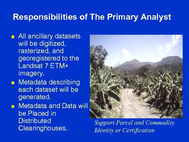 Responsibilities of The Primary Analyst n n n All ancillary datasets will be digitized,