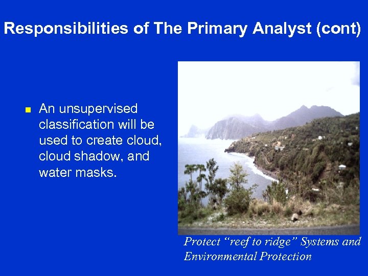 Responsibilities of The Primary Analyst (cont) n An unsupervised classification will be used to