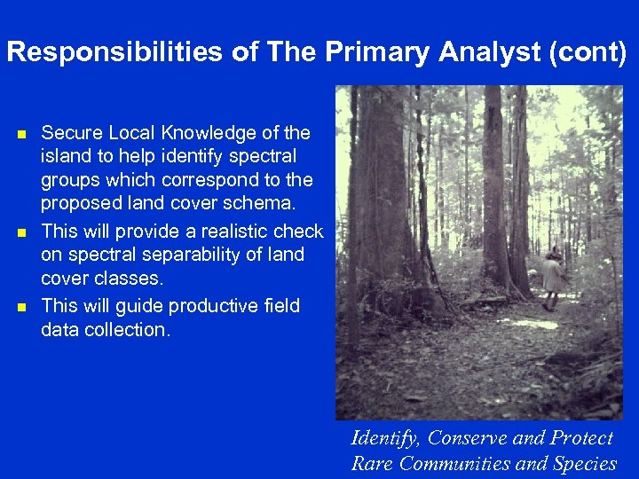 Responsibilities of The Primary Analyst (cont) n n n Secure Local Knowledge of the
