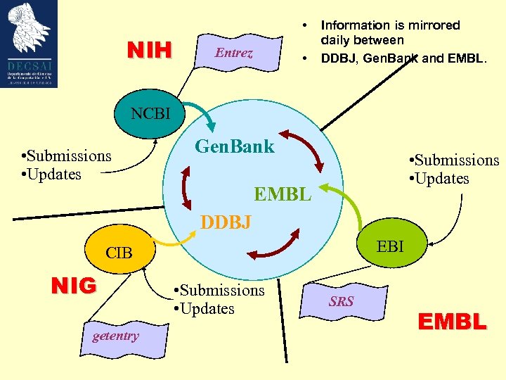  • NIH Entrez • Information is mirrored daily between DDBJ, Gen. Bank and