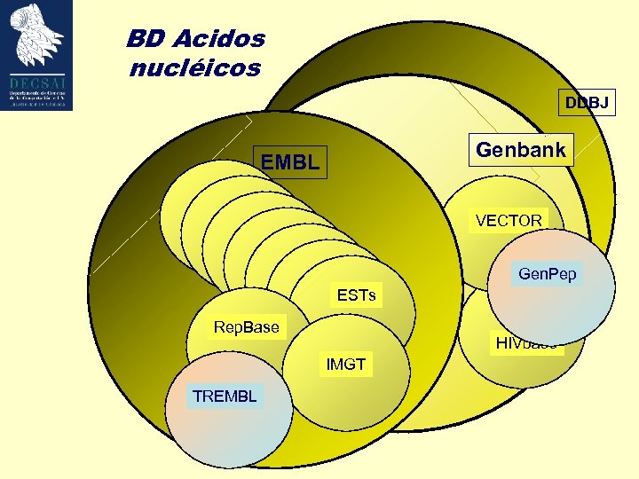 BD Acidos nucléicos DDBJ Genbank EMBL VECTOR Gen. Pep ESTs Rep. Base HIVbase IMGT