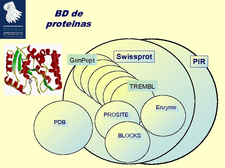 BD de proteinas Swissprot Gen. Pept HIVbase PIR TREMBL Enzyme PROSITE PDB BLOCKS 