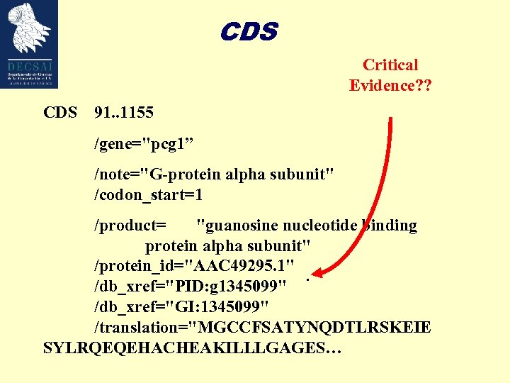 CDS Critical Evidence? ? CDS 91. . 1155 /gene="pcg 1” /note="G-protein alpha subunit" /codon_start=1