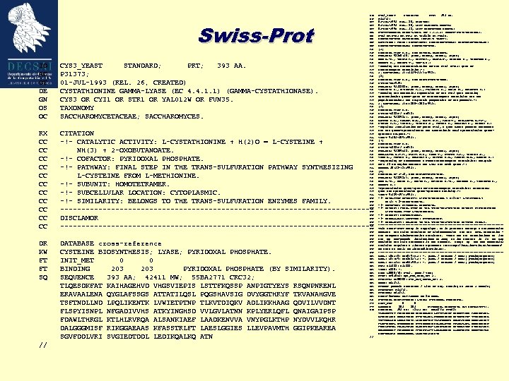 Swiss-Prot ID AC DT DT DT DE GN OS OC OC RN RP RX