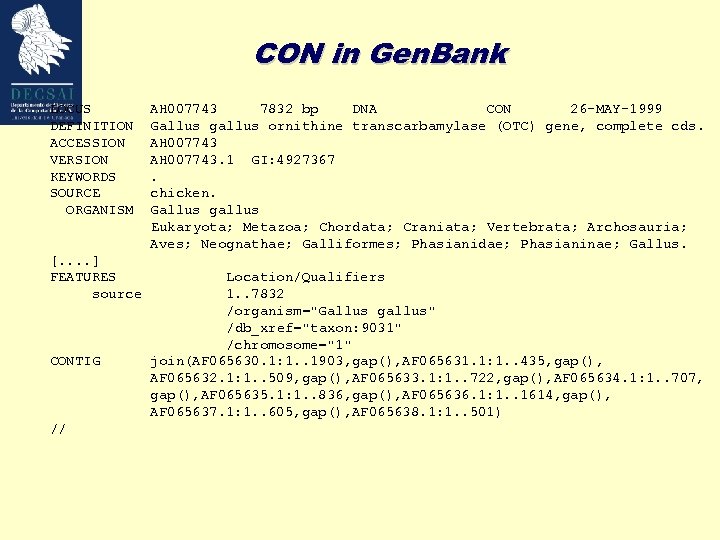 CON in Gen. Bank LOCUS DEFINITION ACCESSION VERSION KEYWORDS SOURCE ORGANISM [. . ]