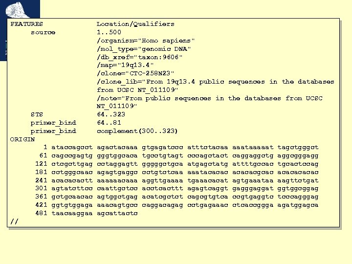 FEATURES source STS primer_bind ORIGIN 1 ataccagcct 61 cagccgagtg 121 ctcgcttgag 181 cctgggcaac 241