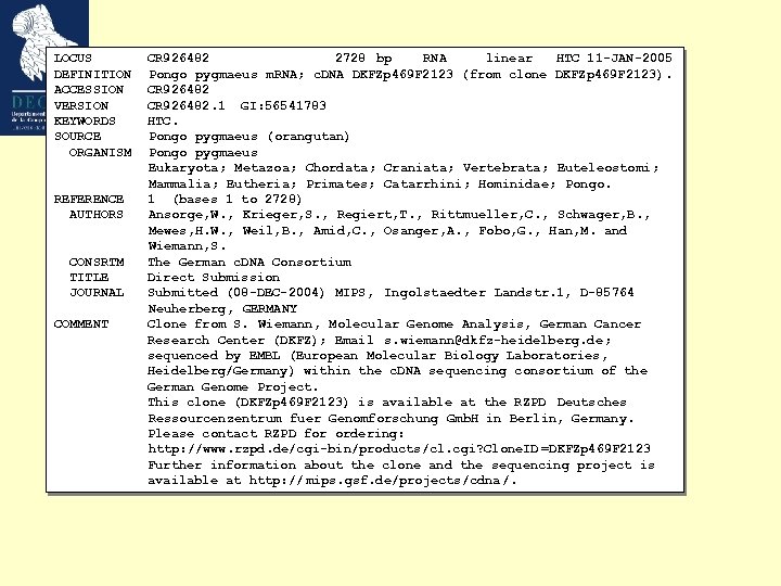 LOCUS DEFINITION ACCESSION VERSION KEYWORDS SOURCE ORGANISM REFERENCE AUTHORS CONSRTM TITLE JOURNAL COMMENT CR