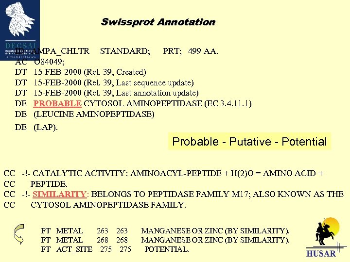 Swissprot Annotation ID AC DT DT DT DE DE AMPA_CHLTR STANDARD; PRT; 499 AA.
