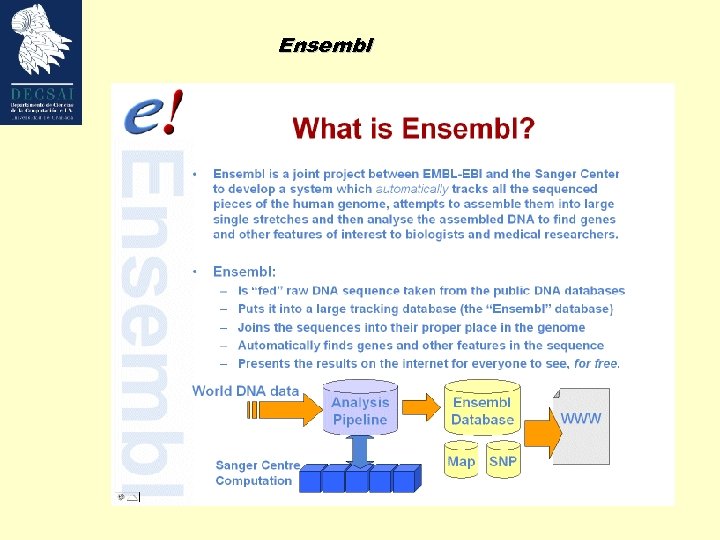 Ensembl 