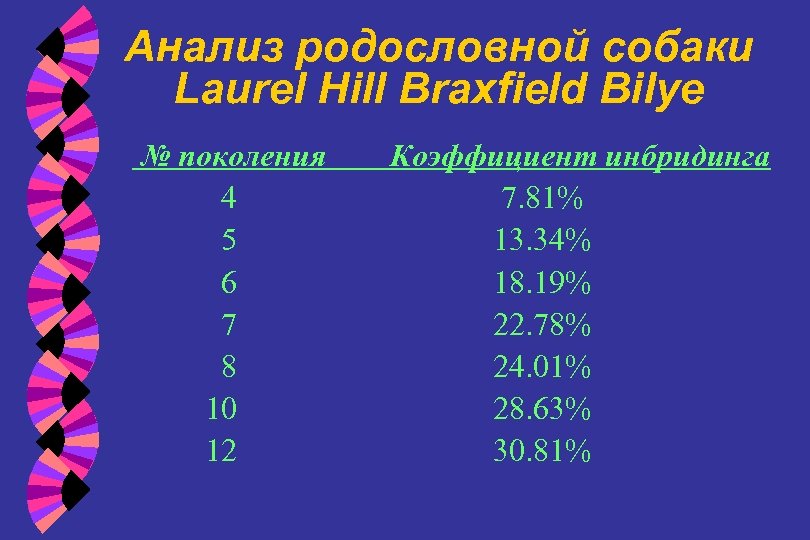 Анализ родословной собаки Laurel Hill Braxfield Bilye № поколения 4 5 6 7 8