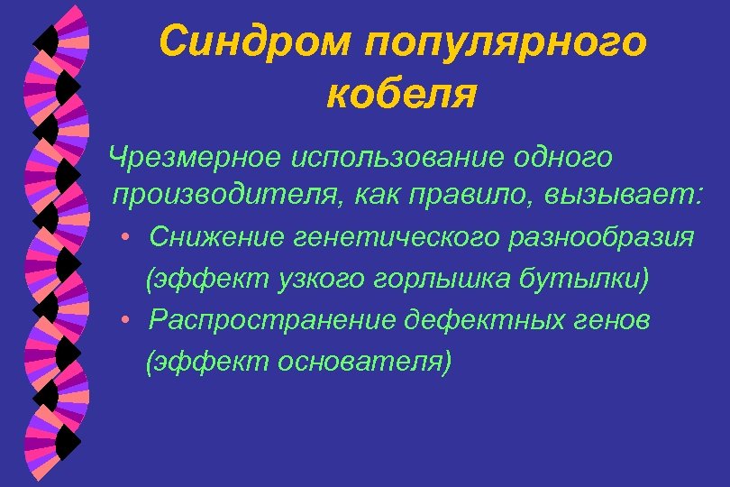 Синдром популярного кобеля Чрезмерное использование одного производителя, как правило, вызывает: • Снижение генетического разнообразия