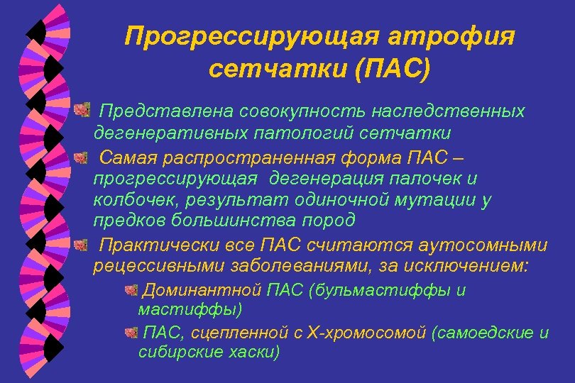 Прогрессирующая атрофия сетчатки (ПАС) Представлена совокупность наследственных дегенеративных патологий сетчатки Самая распространенная форма ПАС