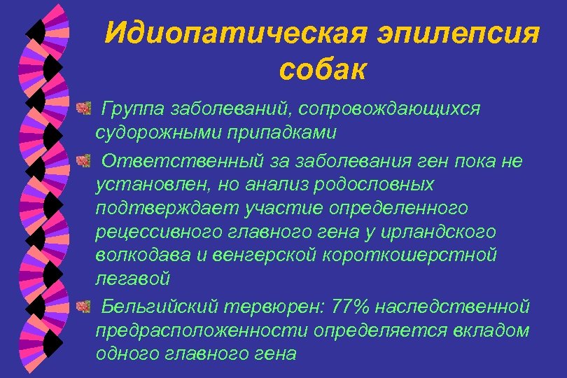 Идиопатическая эпилепсия собак Группа заболеваний, сопровождающихся судорожными припадками Ответственный за заболевания ген пока не