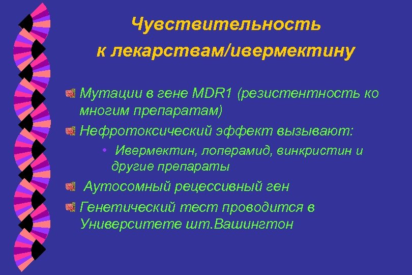 Чувствительность к лекарствам/ивермектину Мутации в гене MDR 1 (резистентность ко многим препаратам) Нефротоксический эффект