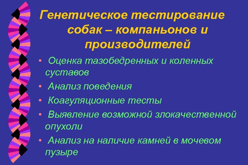 Генетическое тестирование собак – компаньонов и производителей • Оценка тазобедренных и коленных суставов •