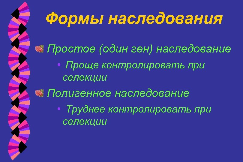 Формы наследования Простое (один ген) наследование • Проще контролировать при селекции Полигенное наследование •