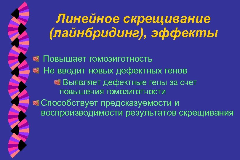 Линейное скрещивание (лайнбридинг), эффекты Повышает гомозиготность Не вводит новых дефектных генов Выявляет дефектные гены