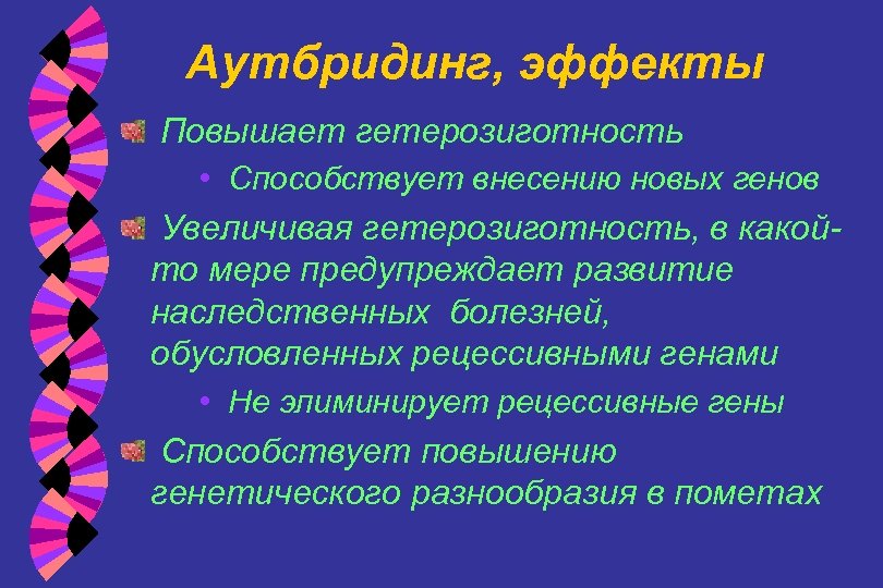 Аутбридинг, эффекты Повышает гетерозиготность • Способствует внесению новых генов Увеличивая гетерозиготность, в какойто мере