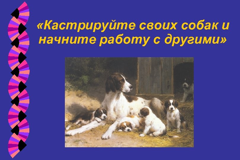  «Кастрируйте своих собак и начните работу с другими» 