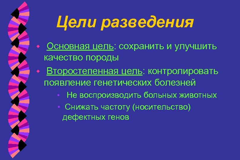 Цели разведения Основная цель: сохранить и улучшить качество породы w Второстепенная цель: контролировать появление