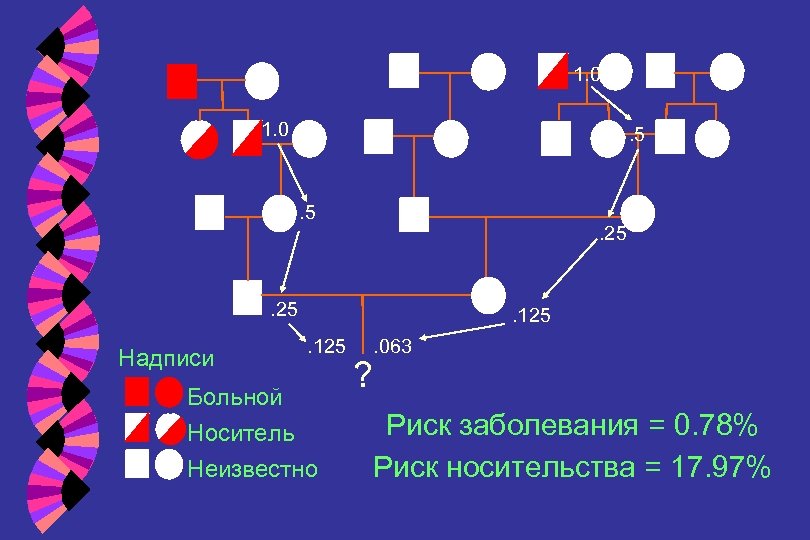 1. 0 . 5 . 25 Надписи . 125 Больной Носитель Неизвестно ? .