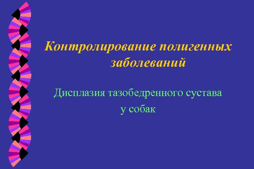 Контролирование полигенных заболеваний Дисплазия тазобедренного сустава у собак 