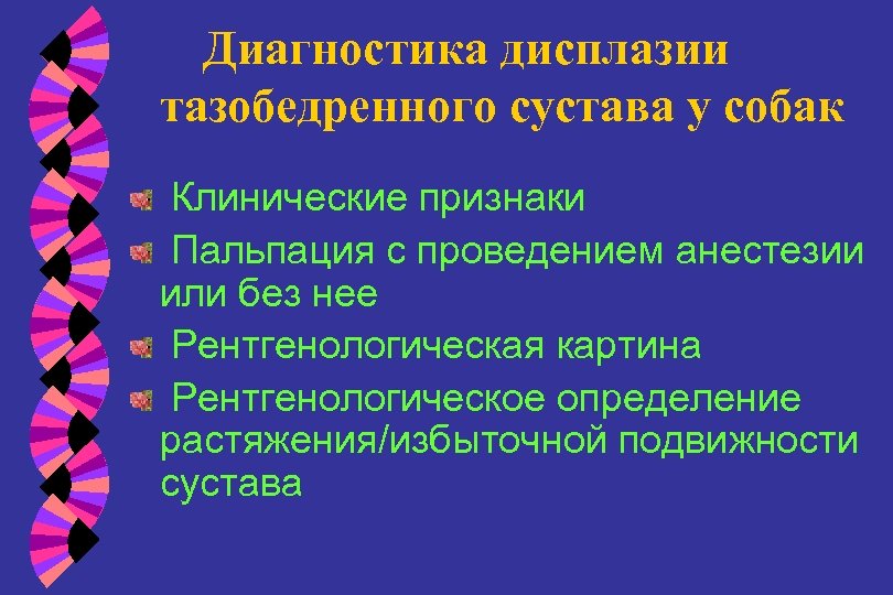 Диагностика дисплазии тазобедренного сустава у собак Клинические признаки Пальпация с проведением анестезии или без