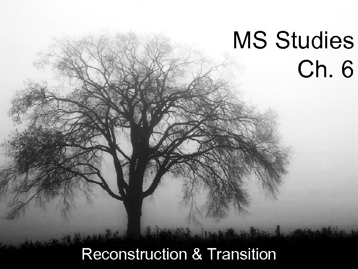 MS Studies Ch. 6 Reconstruction & Transition 