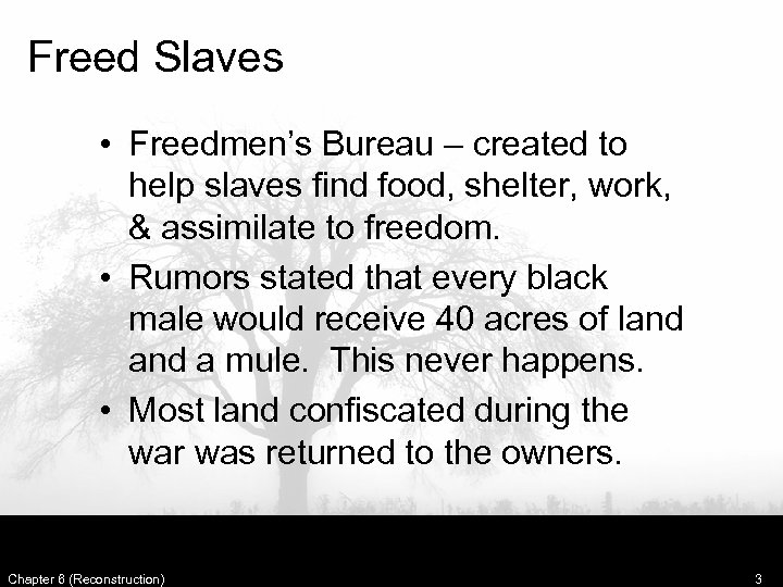 Freed Slaves • Freedmen’s Bureau – created to help slaves find food, shelter, work,
