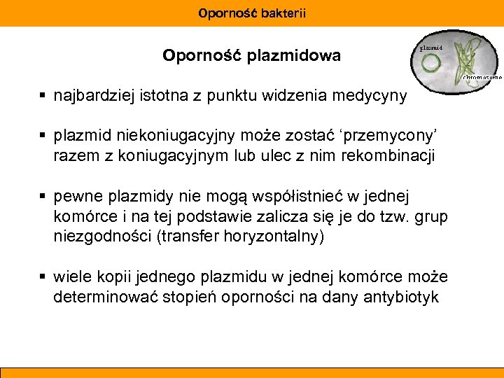 Oporność bakterii Oporność plazmidowa § najbardziej istotna z punktu widzenia medycyny § plazmid niekoniugacyjny