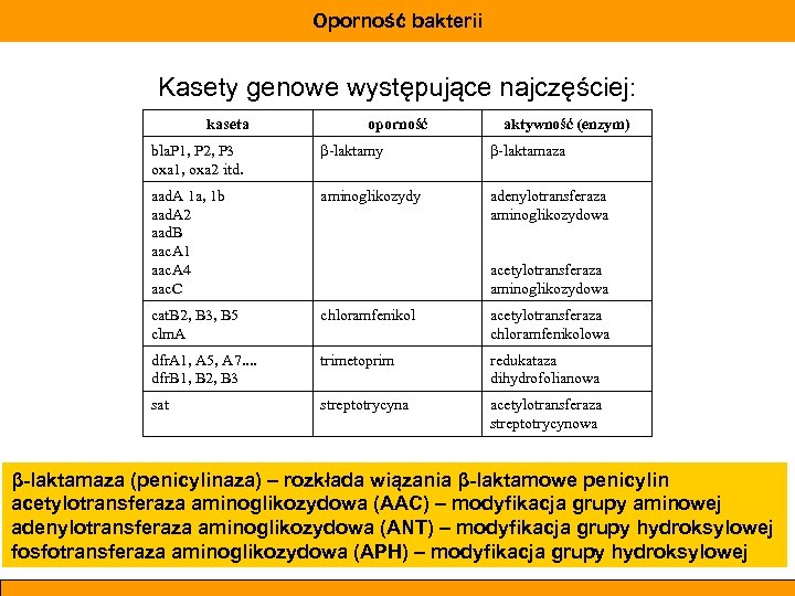 Oporność bakterii Kasety genowe występujące najczęściej: kaseta oporność aktywność (enzym) bla. P 1, P