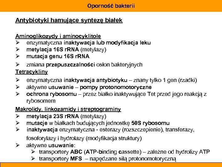 Oporność bakterii Antybiotyki hamujące syntezę białek Aminoglikozydy i aminocyklitole Ø enzymatyczna inaktywacja lub modyfikacja