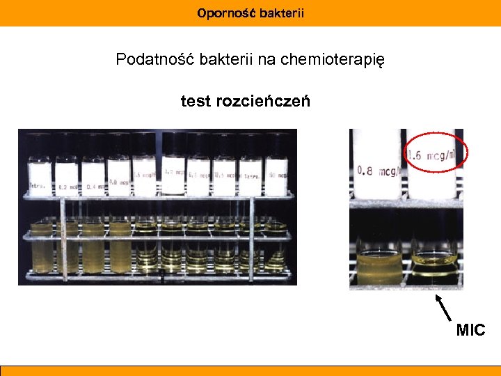 Oporność bakterii Podatność bakterii na chemioterapię test rozcieńczeń MIC 