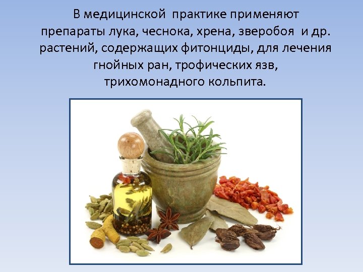 В медицинской практике применяют препараты лука, чеснока, хрена, зверобоя и др. растений, содержащих фитонциды,