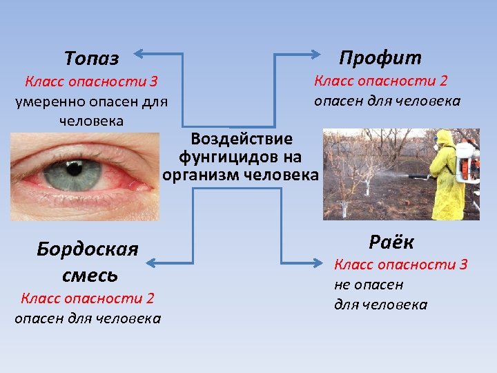 Классы опасности для человека. Класс опасности для человека – 3 класс. Класс опасности 2 для человека. 2 И 3 классам опасности для человека.