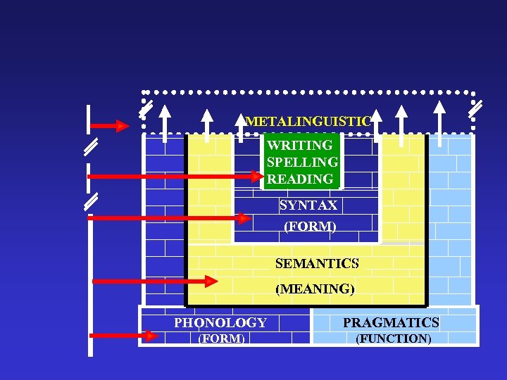 METALINGUISTIC WRITING SPELLING READING SYNTAX (FORM) SEMANTICS (MEANING) PHONOLOGY PRAGMATICS (FORM) (FUNCTION) 