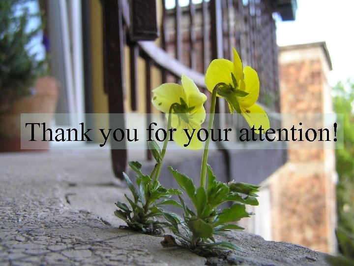 Thank you for your attention! 