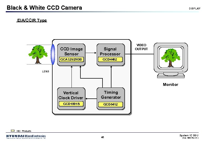 Black & White CCD Camera DISPLAY EIA/CCIR Type CCD Image Sensor Signal Processor GCA