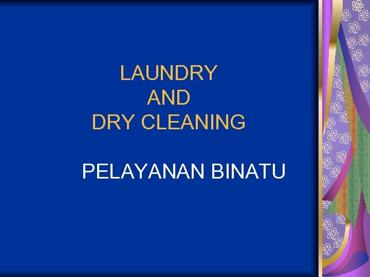 LAUNDRY AND DRY CLEANING PELAYANAN BINATU 